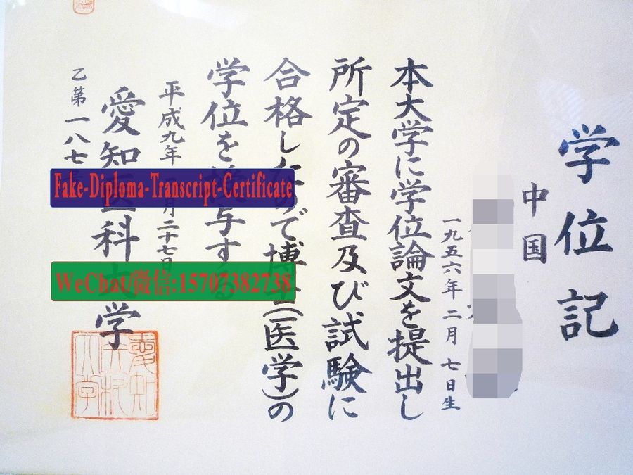 Aichi Medical University Diploma Certificate