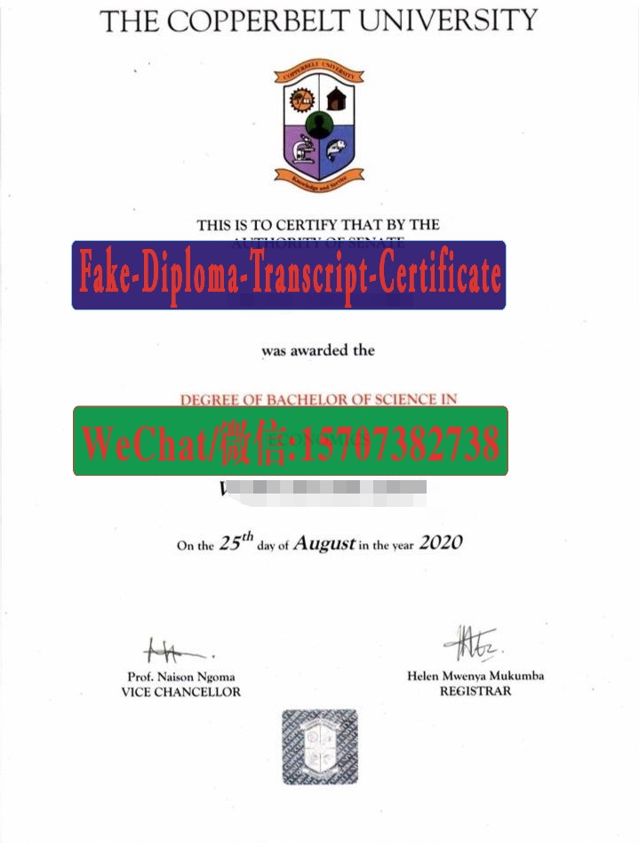 Buy Fake The Copperbelt University Diploma Online