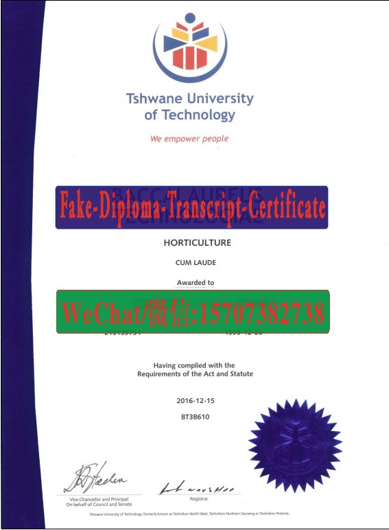 Buy Fake Tshwane University of Technology Diploma Online