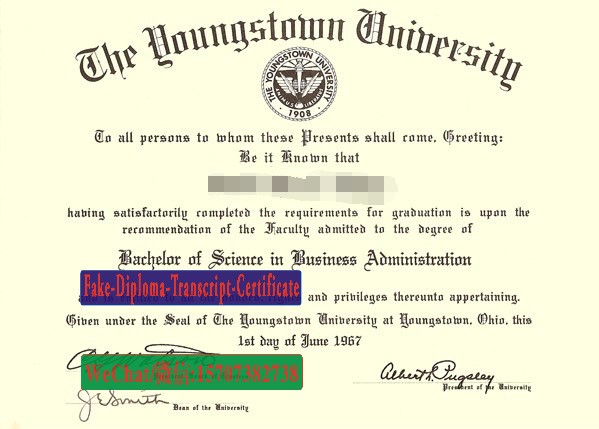 Buy Youngstown State University Diploma Online