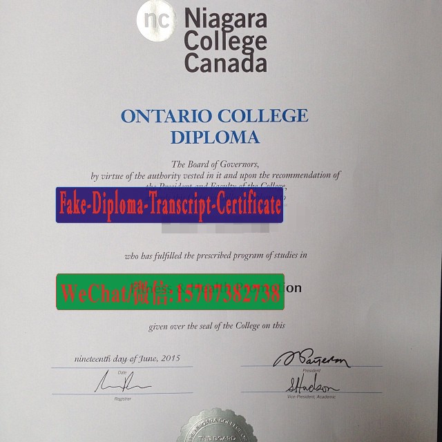 Buy fake Niagara College Diploma