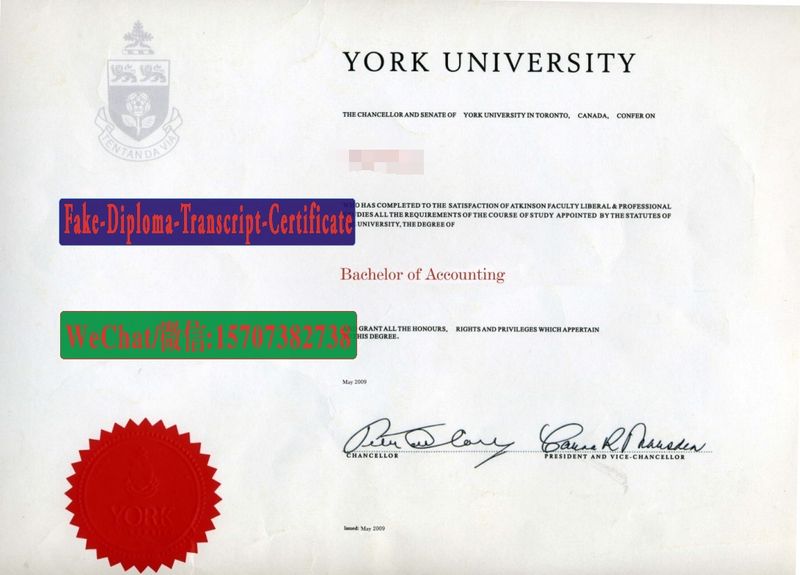 Buy fake York University Diploma