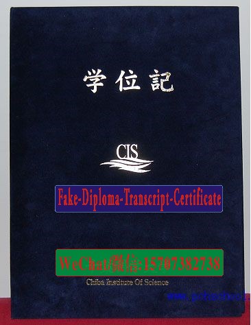 Chiba Institute of Science Diploma Certificate