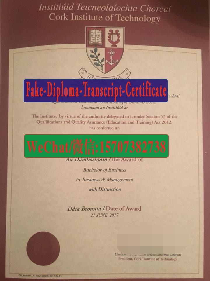 Cork Institute of Technology Diploma Original Sample