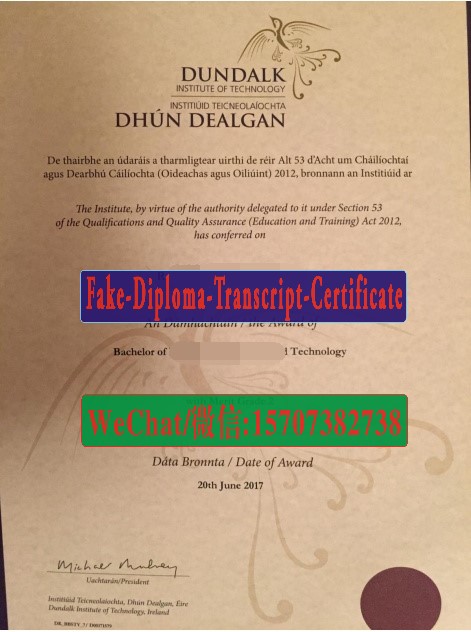 Dundalk Institute of Technology Diploma Original Sample