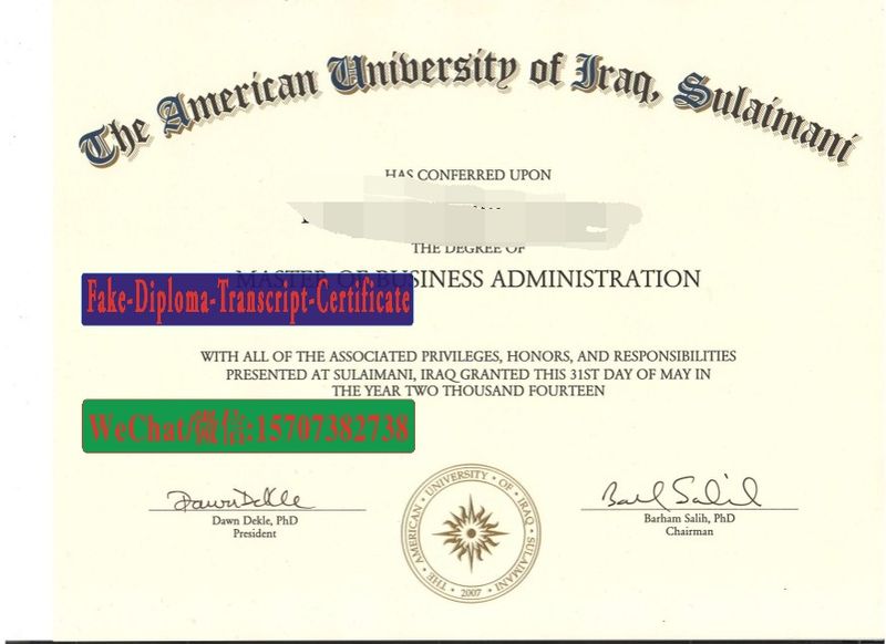 Fake American University of Iraq Sulaimani Diploma Transcript