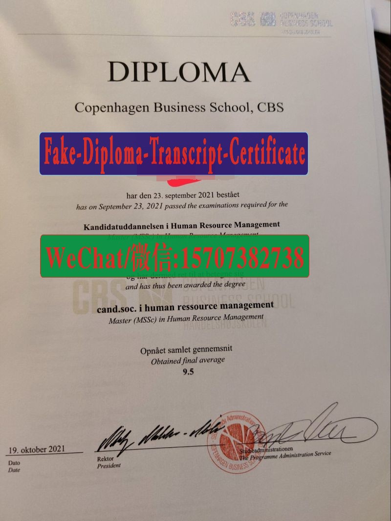 Fake Copenhagen Business School Diploma Transcript