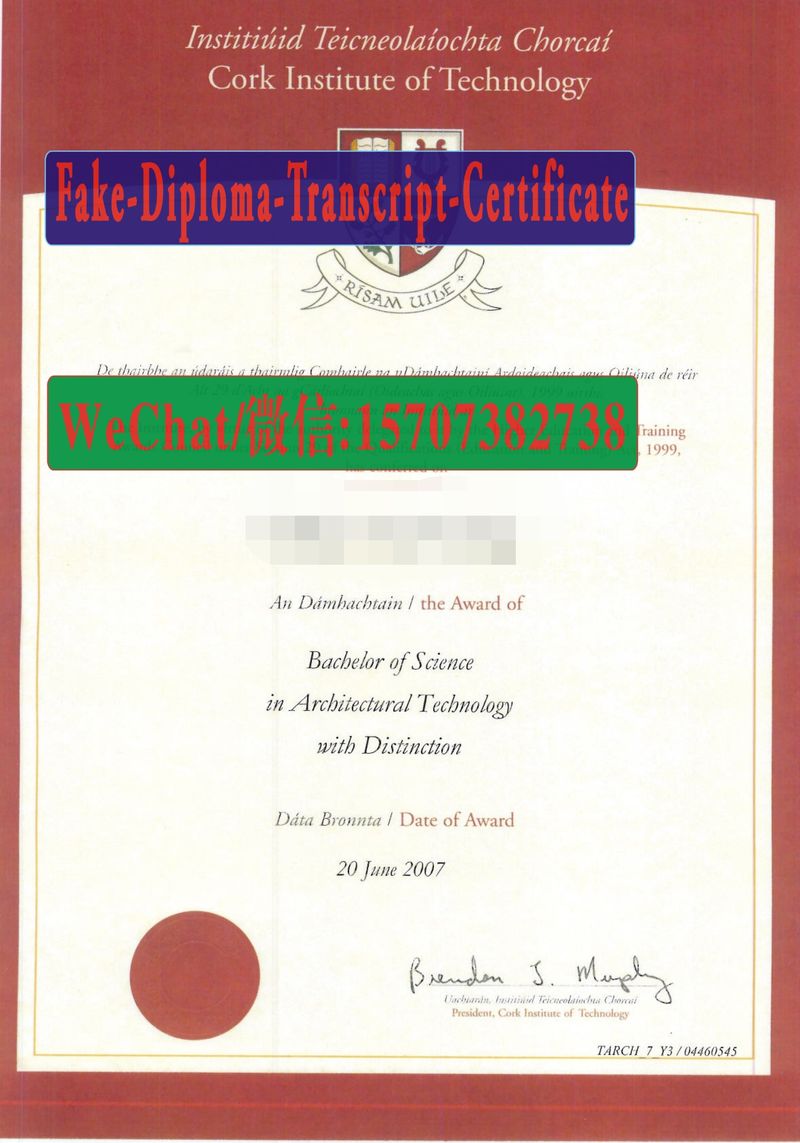 Fake Cork Institute of Technology Diploma Transcript