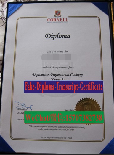 Fake CornellInstitute of Business and Technology Diploma degree