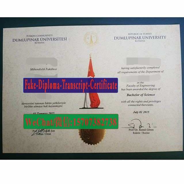 Fake Dumlupinar University Diploma Transcript