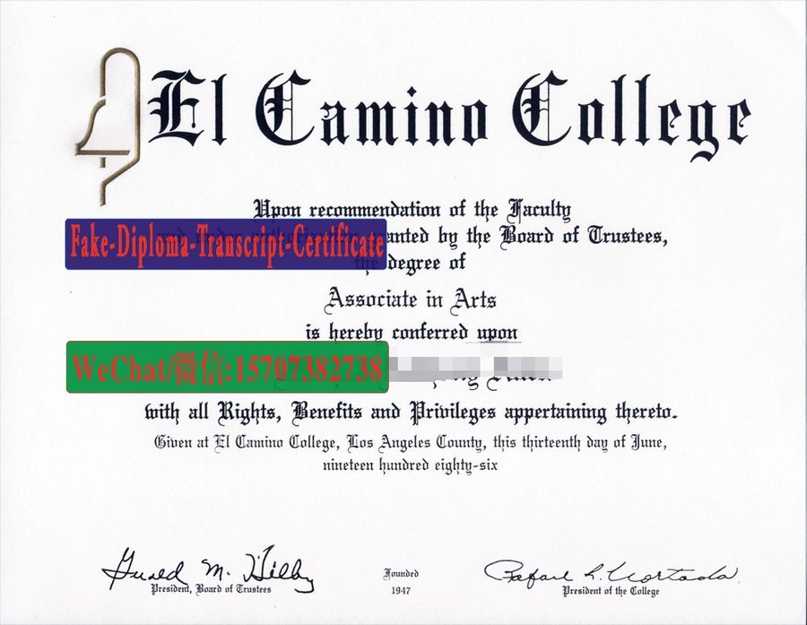 Fake EL Camino College Diploma Makers