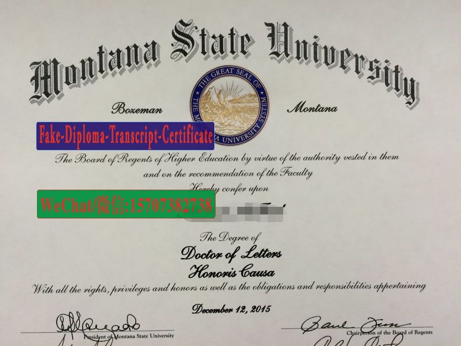 Fake Montana State University Bozeman Diploma Degree