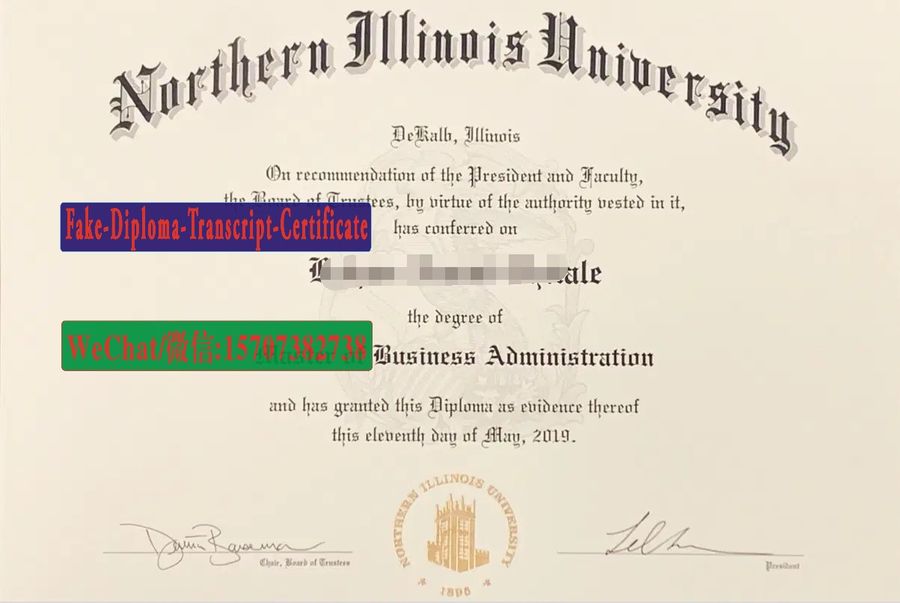 Fake Northeastern Illinois University Diploma Degree