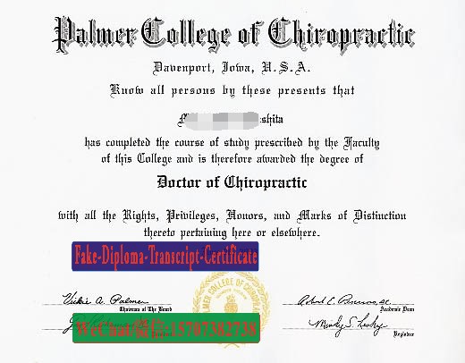 Fake Palmer College of Chiropractic Diploma Degree