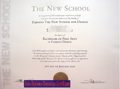 Fake Parsons The New School for Design Diploma Degree