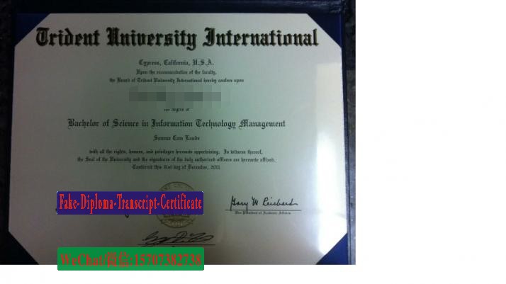 Fake Trident University International Diploma Makers