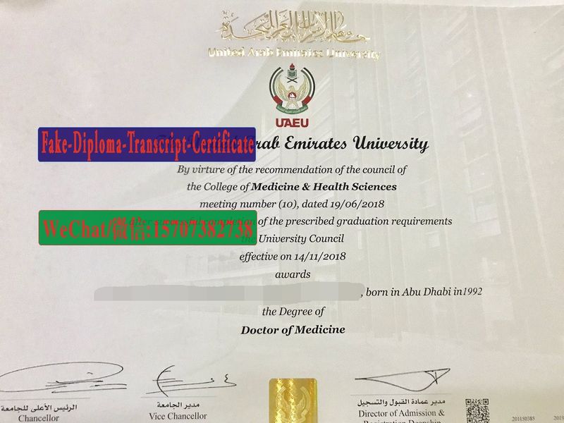 Fake United Arab Emirates University Diploma Transcript