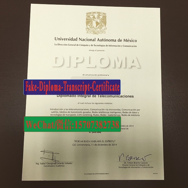 Fake Universidad Nacional Autónoma de México Diploma Transcript