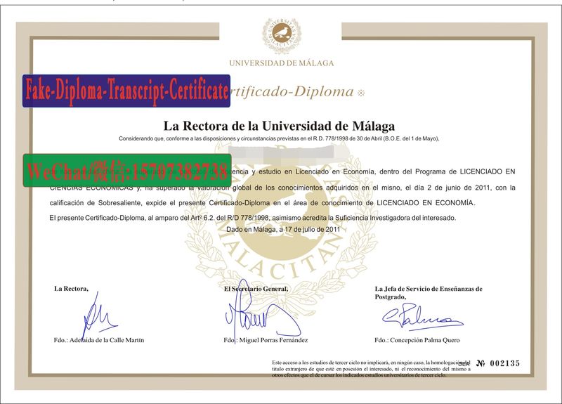 Fake Universidad de Málaga Diploma Transcript