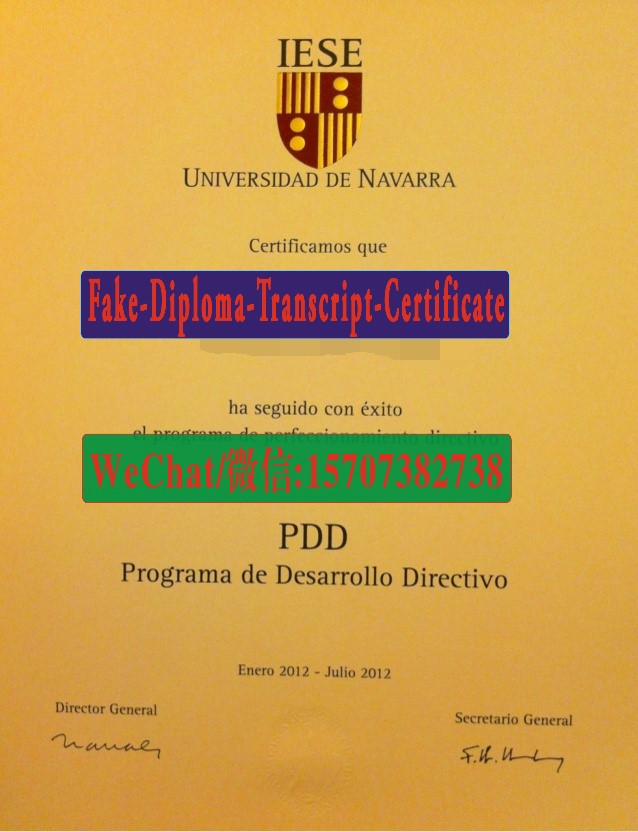 Fake Universidad de Navarra Diploma Transcript