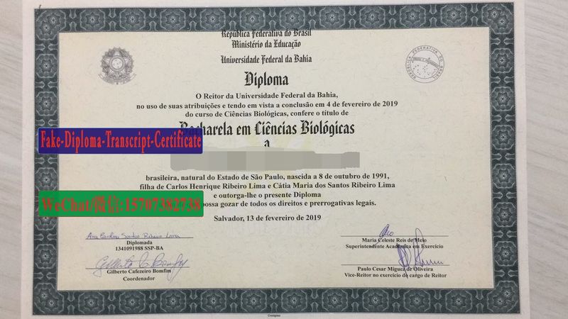 Fake Universidade Federal da Bahia Diploma Transcript