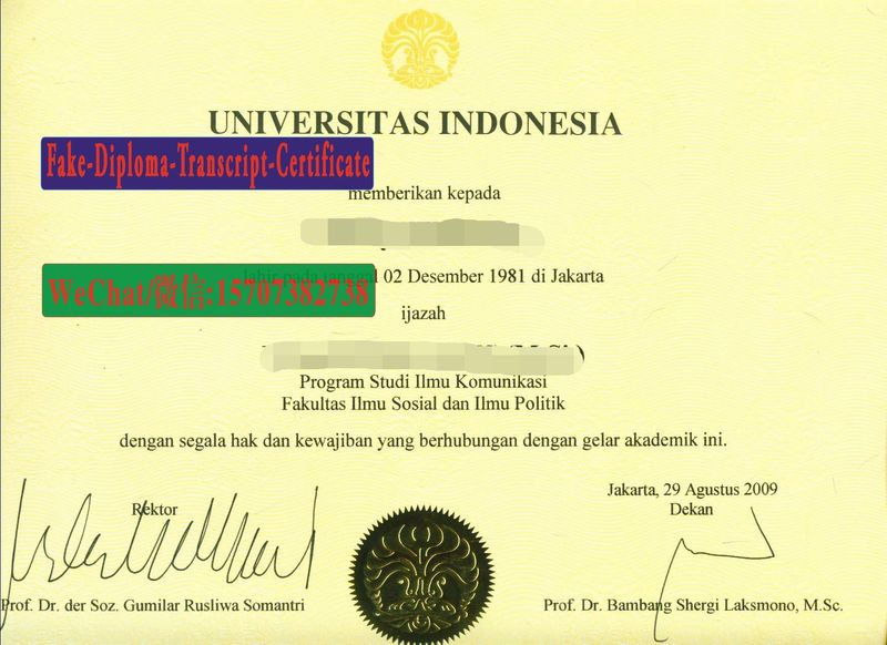 Fake Universitas Indonesia Diploma Transcript