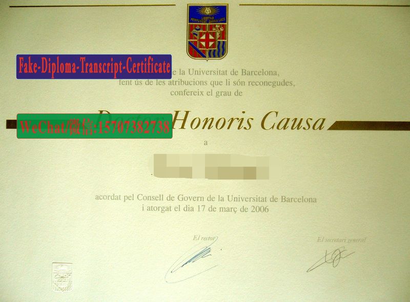 Fake Universitat de Barcelona Diploma Transcript