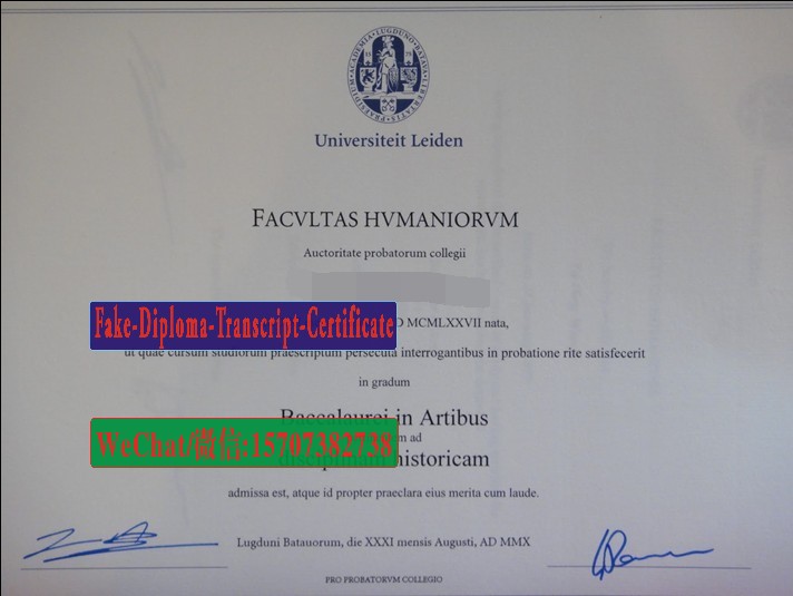 Fake Universiteit Leiden Diploma Transcript