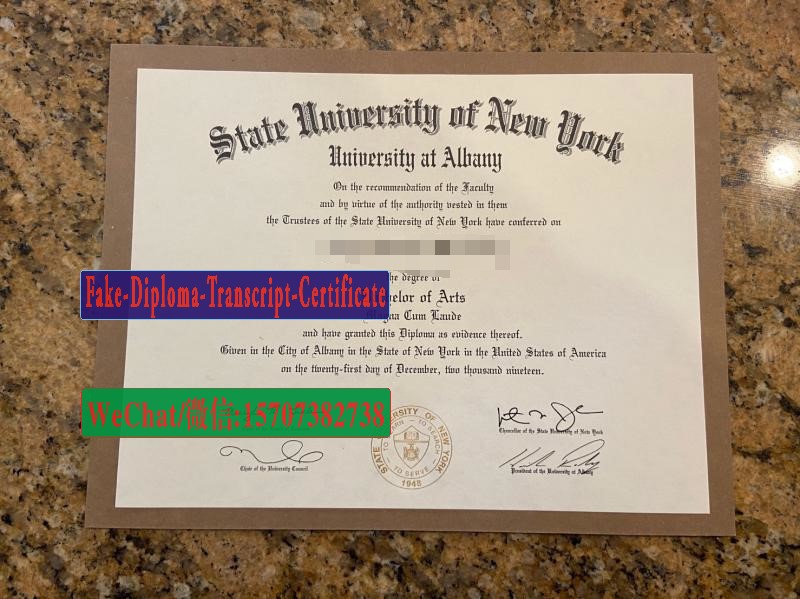 Fake University at Albany SUNY Diploma Makers