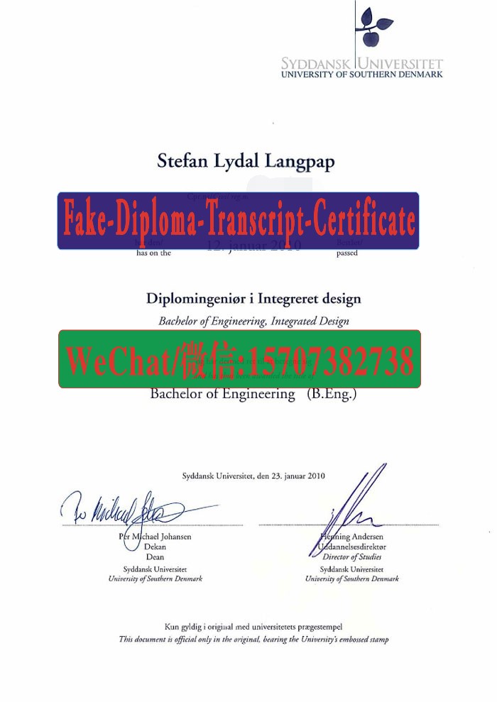 Fake University of Southern Denmark Diploma Transcript