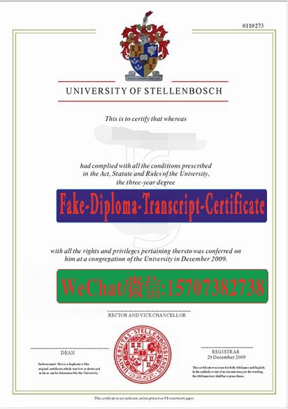 Fake University of Stellenbosch Diploma Transcript