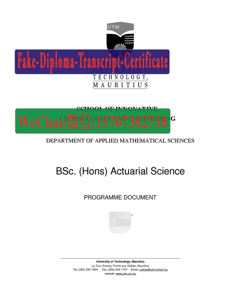 Fake University of Technology Mauritius Diploma Transcript