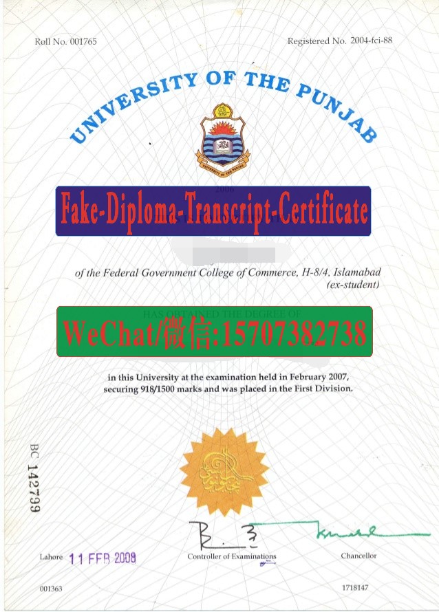 Fake University of the Punjab Diploma Transcript