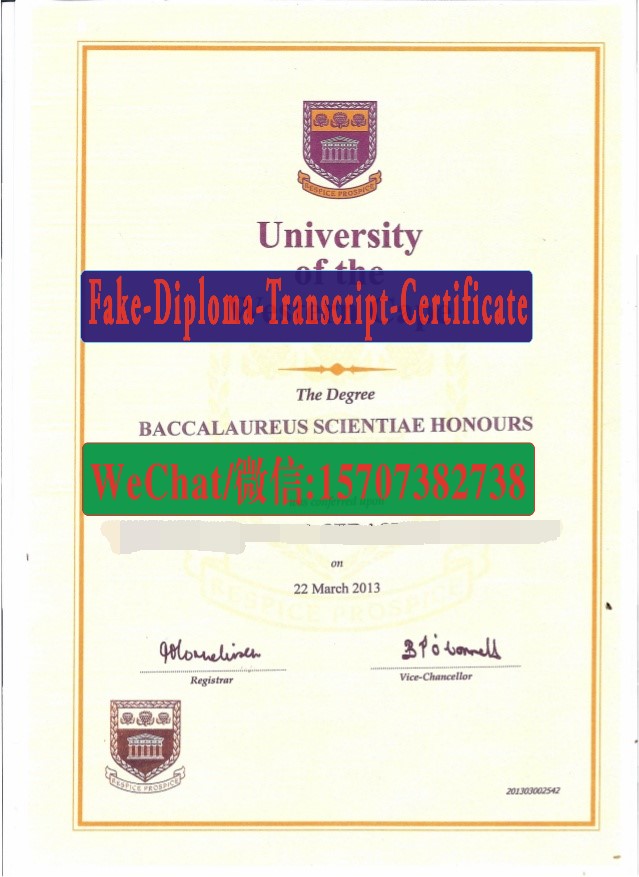 Fake University of the Western Cape Diploma Transcript