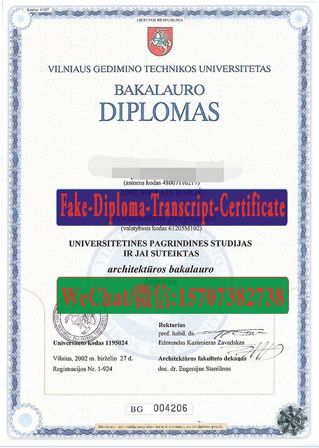 Fake Vilniaus Gedimino Technikos Universitetas Diploma Transcript