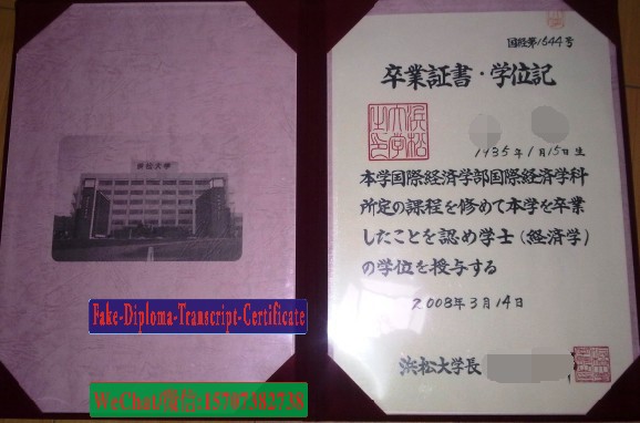 HAMAMATSU University Diploma Certificate