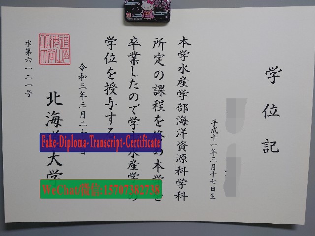 Hokkaido University Diploma Certificate