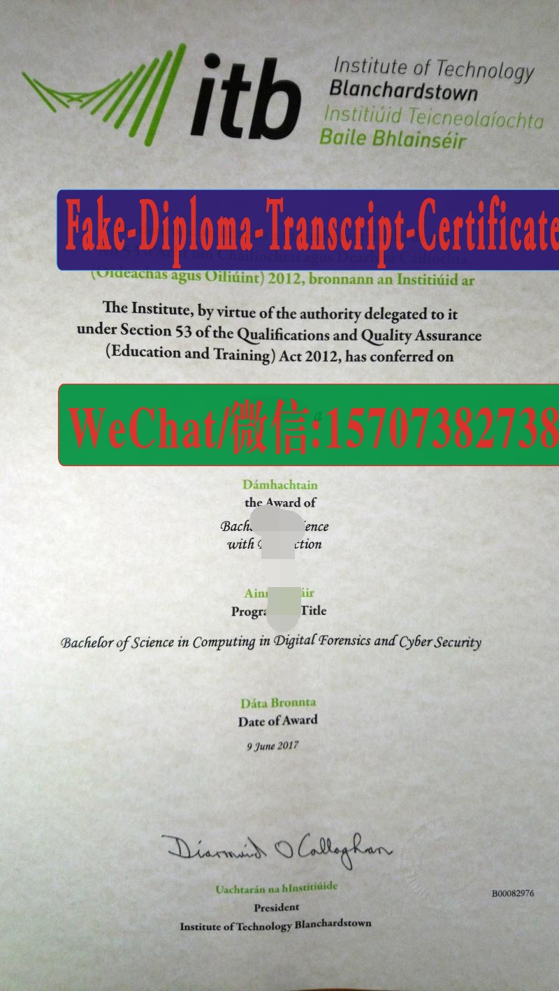 Institute of Technology Blanchardstown Diploma Original Sample