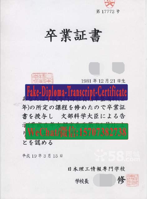 Japan Institute of Technology and Information Technology Diploma Certificate