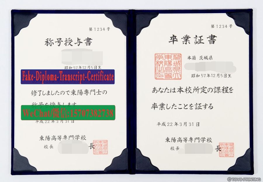 Japan Toyo Higher Technical College Diploma Certificate