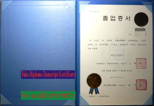 Make fake Pusan National University Diploma