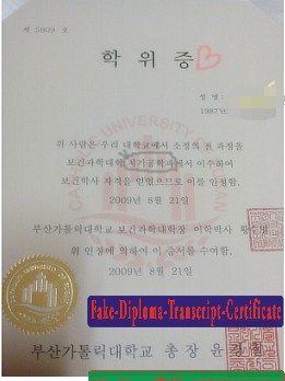 Make fake The Catholic University of Busan Diploma