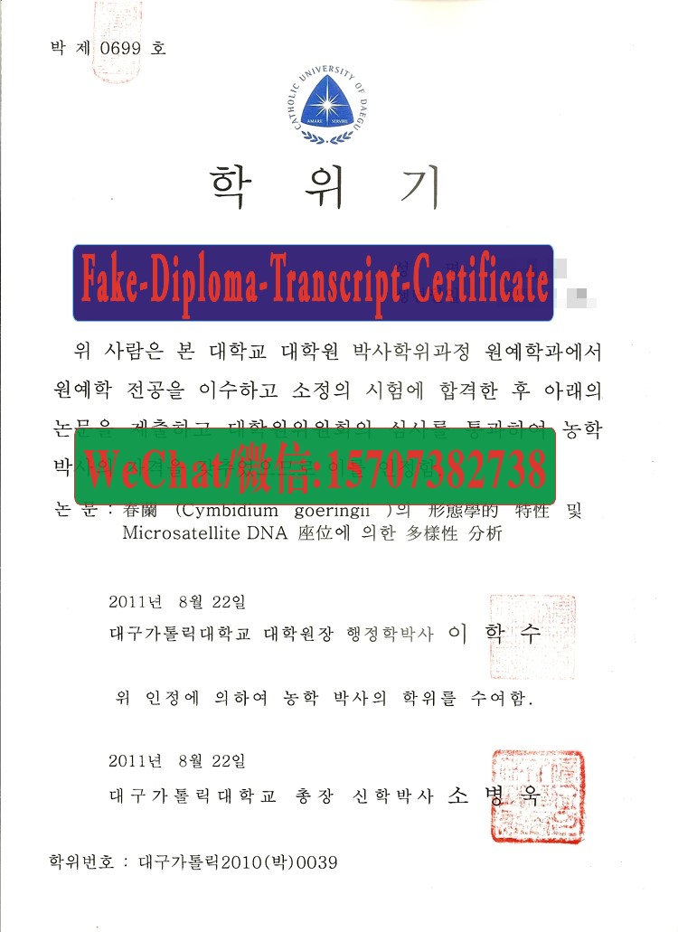 Make fake The Catholic University of Daegu Diploma