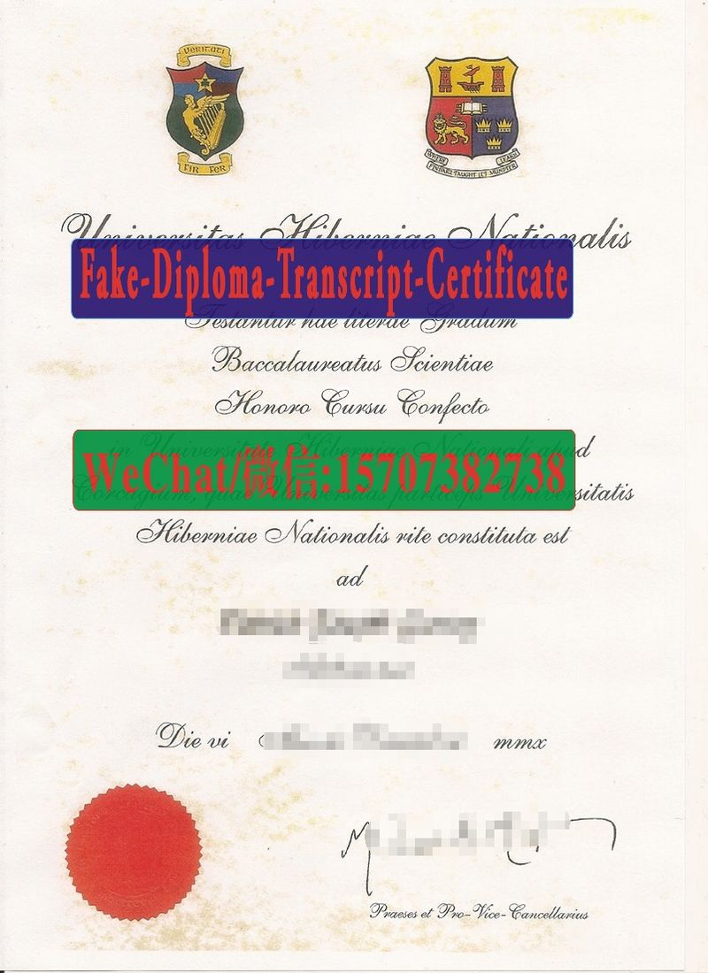 National University of Ireland Diploma Original Sample