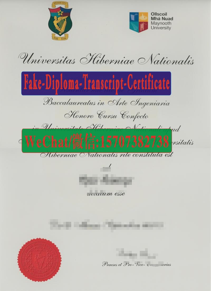 National University of Ireland Maynooth Diploma Original Sample