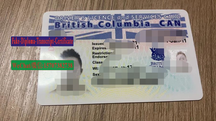 Order Fake British Columbia drivers license 