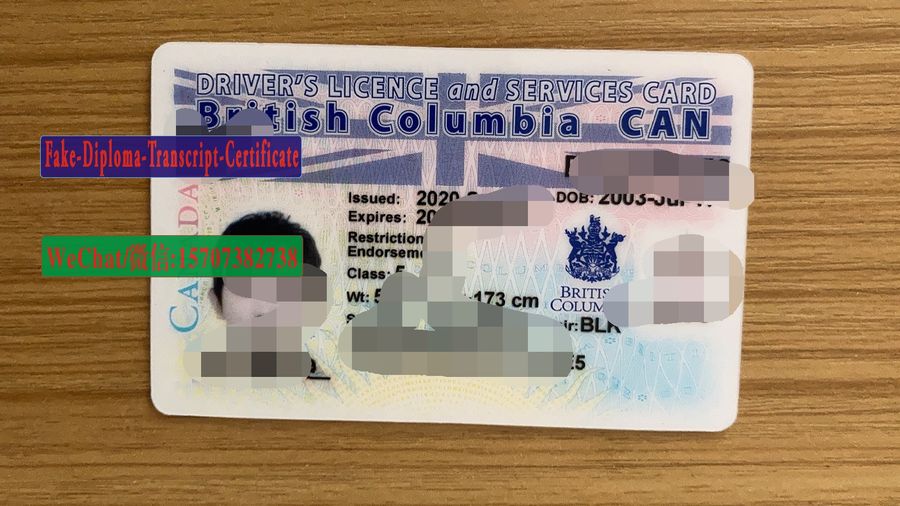 Order Fake British Columbia drivers license