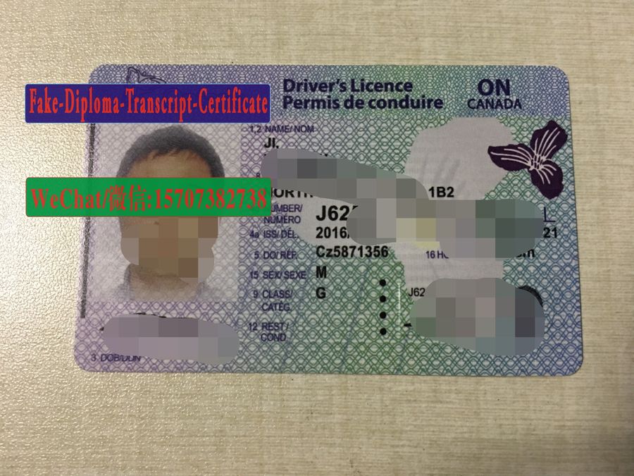 Order Fake Drivers license in Ontario