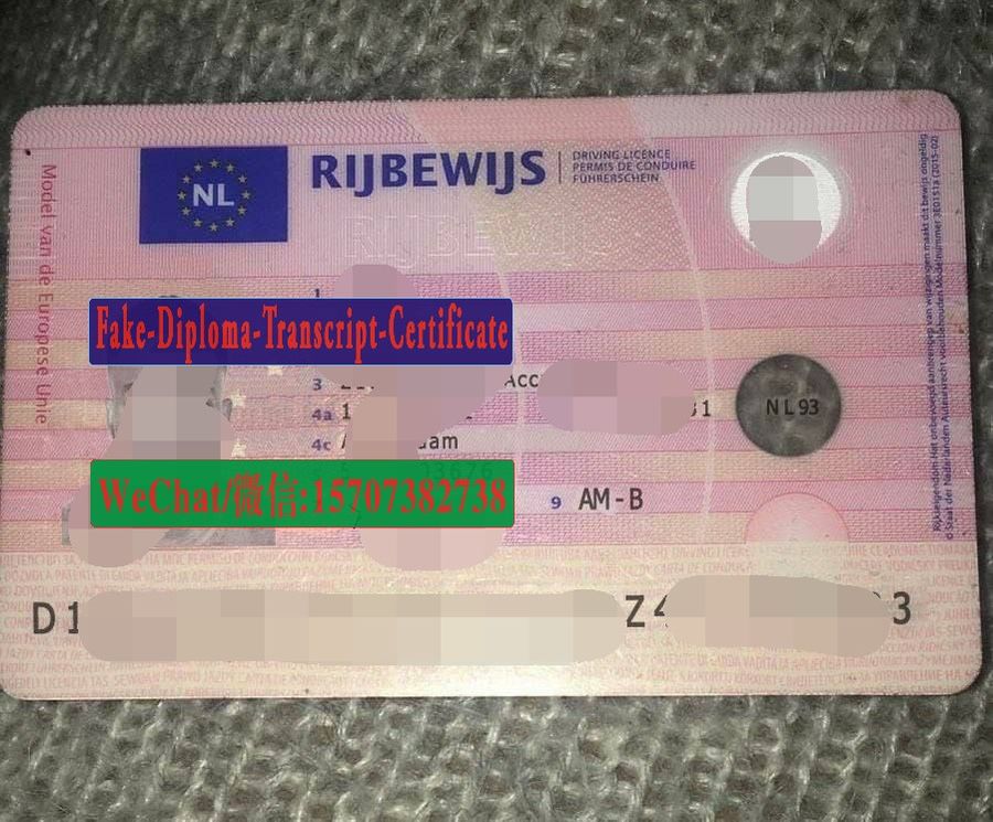 Order Fake Dutch driving license