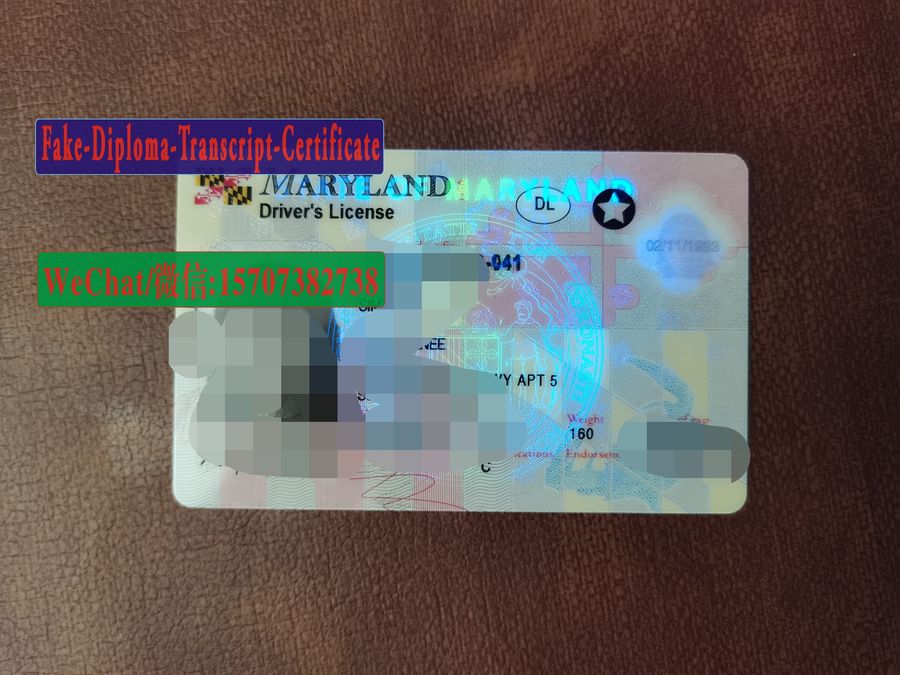 Order Fake Maryland drivers license